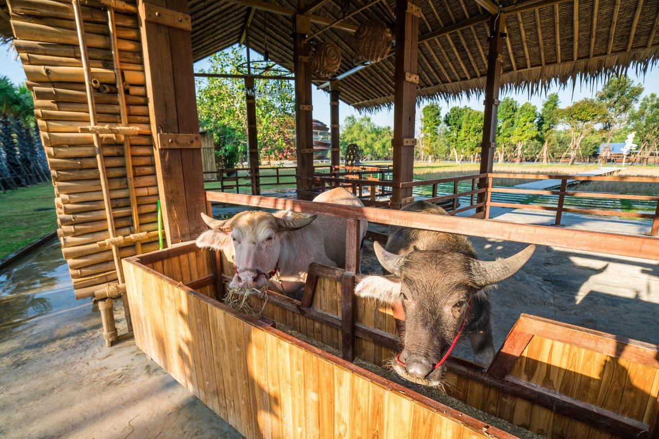 The Buffalo Amphawa Samut Songkhram Eksteriør billede